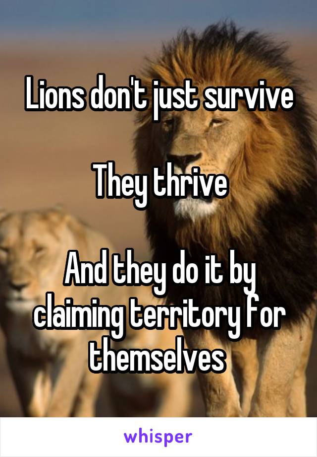 Lions don't just survive

They thrive

And they do it by claiming territory for themselves 