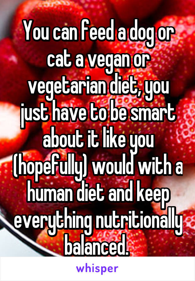 You can feed a dog or cat a vegan or vegetarian diet, you just have to be smart about it like you (hopefully) would with a human diet and keep everything nutritionally balanced. 