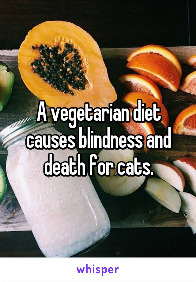 A vegetarian diet causes blindness and death for cats.