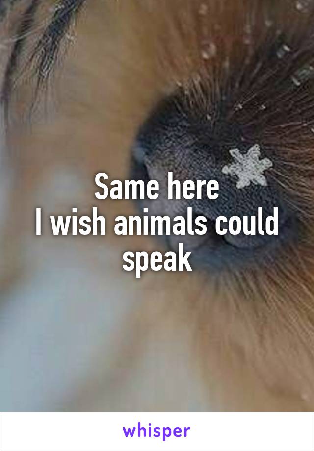 Same here
I wish animals could speak