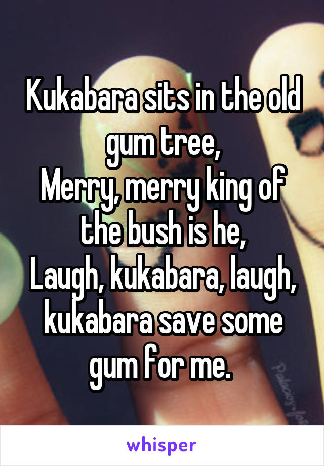 Kukabara sits in the old gum tree,
Merry, merry king of the bush is he,
Laugh, kukabara, laugh, kukabara save some gum for me. 