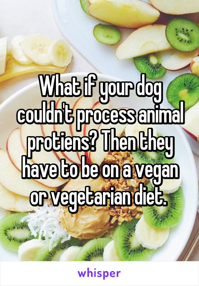 What if your dog couldn't process animal protiens? Then they have to be on a vegan or vegetarian diet. 