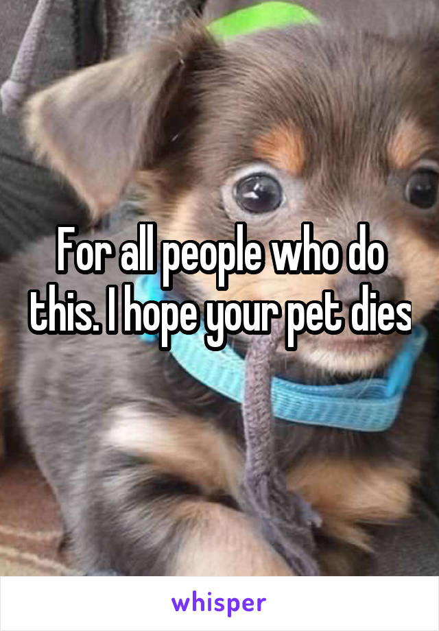 For all people who do this. I hope your pet dies 