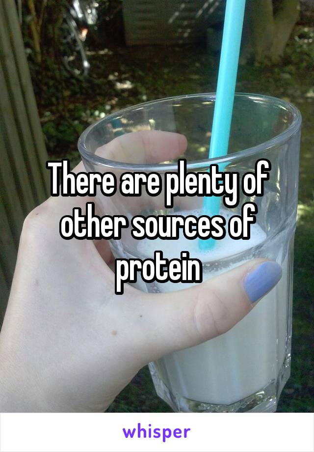 There are plenty of other sources of protein