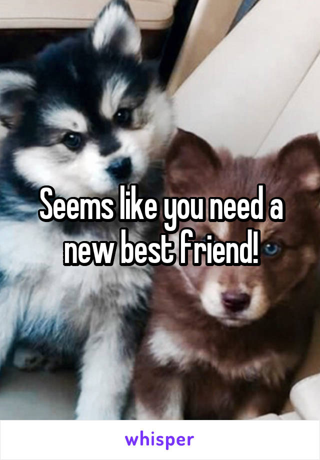 Seems like you need a new best friend!