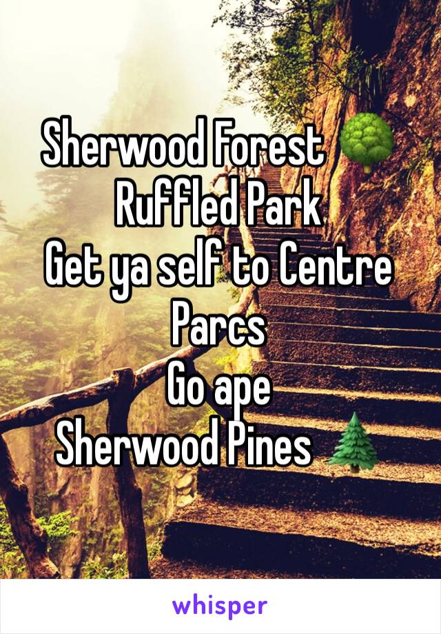 Sherwood Forest 🌳 
Ruffled Park
Get ya self to Centre Parcs
Go ape
Sherwood Pines 🌲 