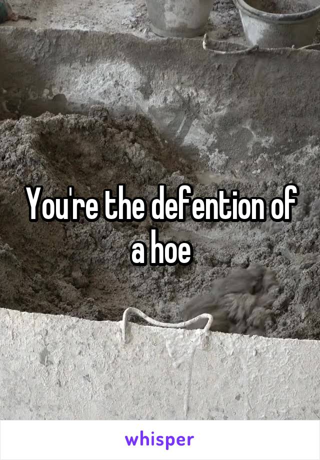 You're the defention of a hoe