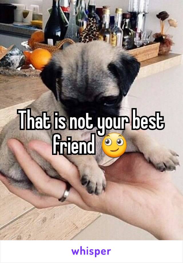 That is not your best friend 🙄