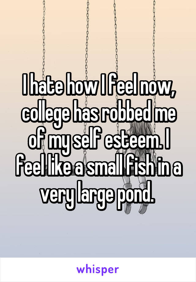 I hate how I feel now, college has robbed me of my self esteem. I feel like a small fish in a very large pond. 
