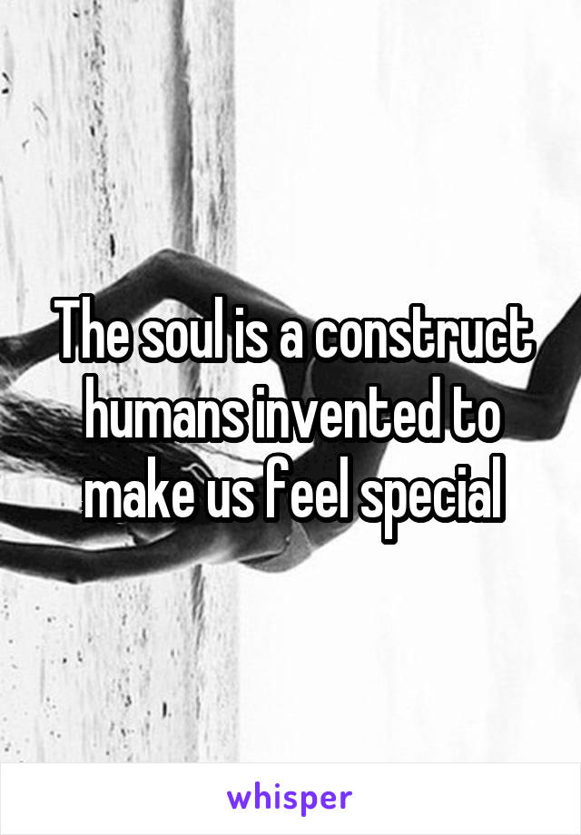 The soul is a construct humans invented to make us feel special