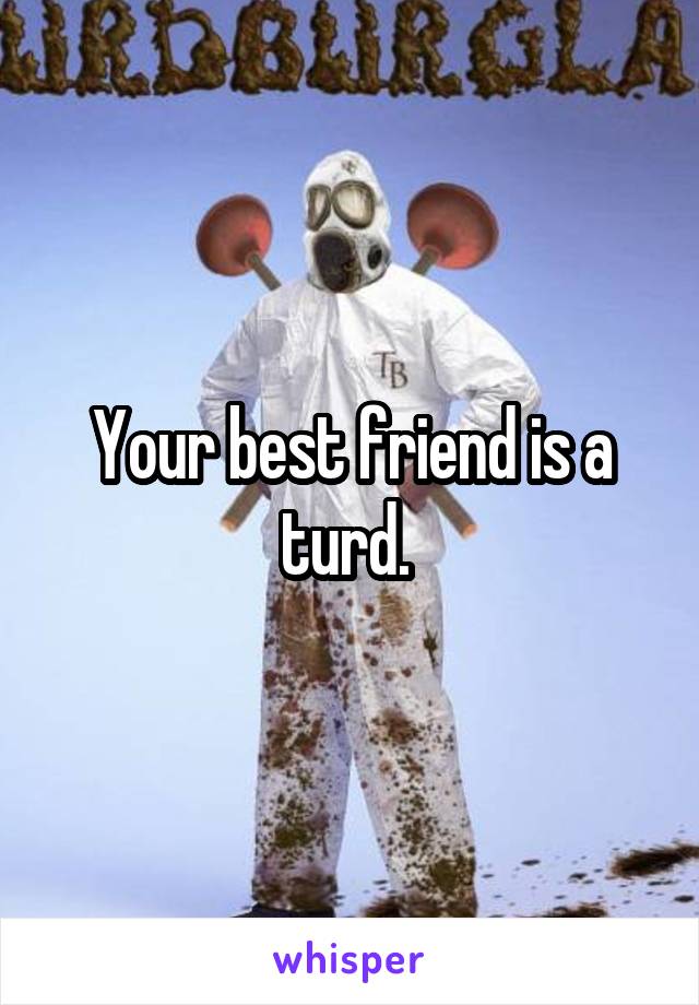 Your best friend is a turd. 