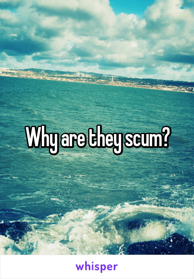 Why are they scum?