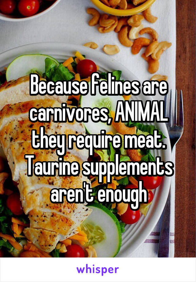 Because felines are carnivores, ANIMAL they require meat.
Taurine supplements aren't enough