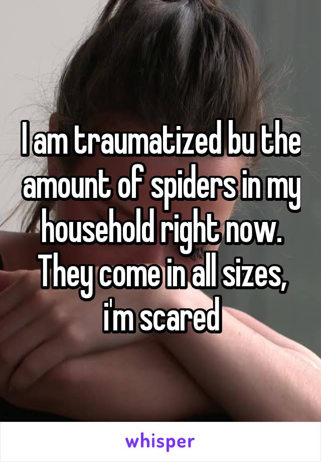 I am traumatized bu the amount of spiders in my household right now. They come in all sizes, i'm scared