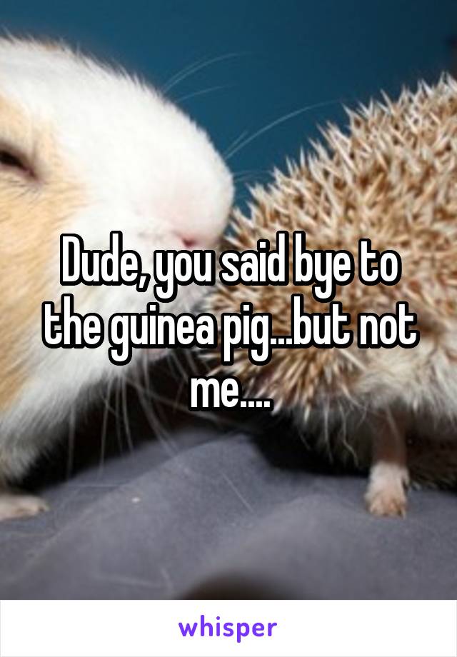 Dude, you said bye to the guinea pig...but not me....