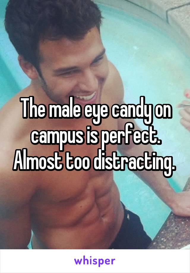 The male eye candy on campus is perfect. Almost too distracting. 