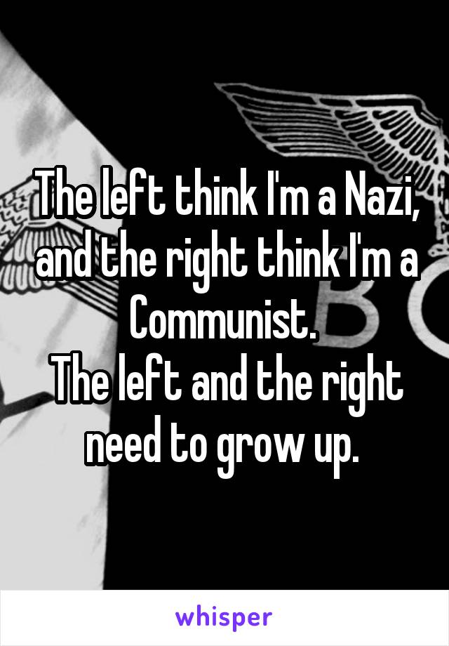The left think I'm a Nazi, and the right think I'm a Communist. 
The left and the right need to grow up. 