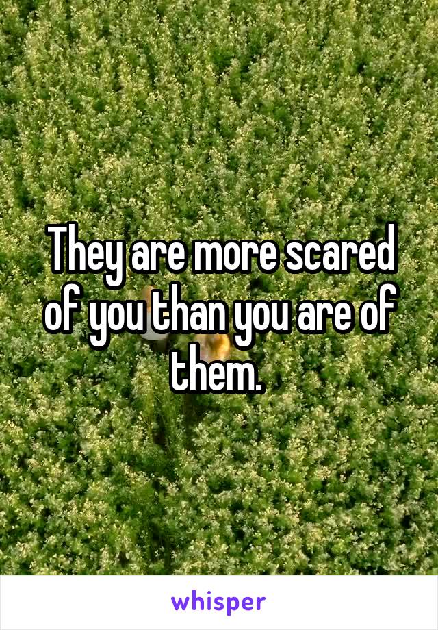 They are more scared of you than you are of them. 