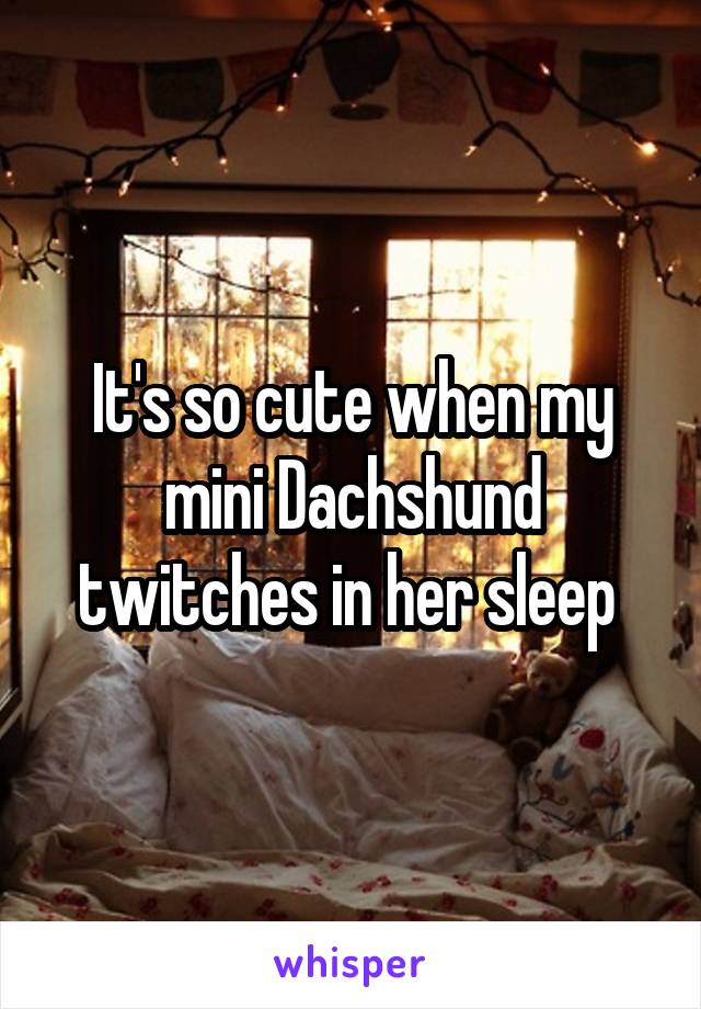 It's so cute when my mini Dachshund twitches in her sleep 