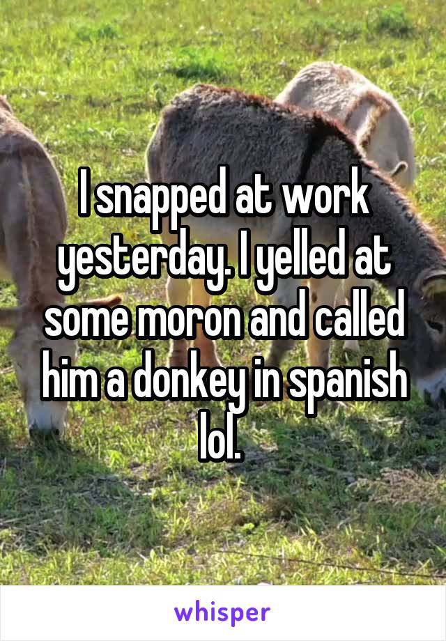 I snapped at work yesterday. I yelled at some moron and called him a donkey in spanish lol. 