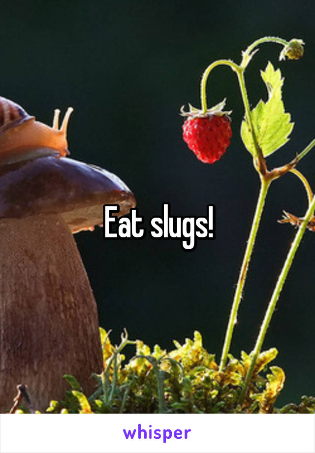 Eat slugs!