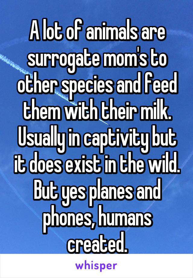 A lot of animals are surrogate mom's to other species and feed them with their milk. Usually in captivity but it does exist in the wild. But yes planes and phones, humans created.
