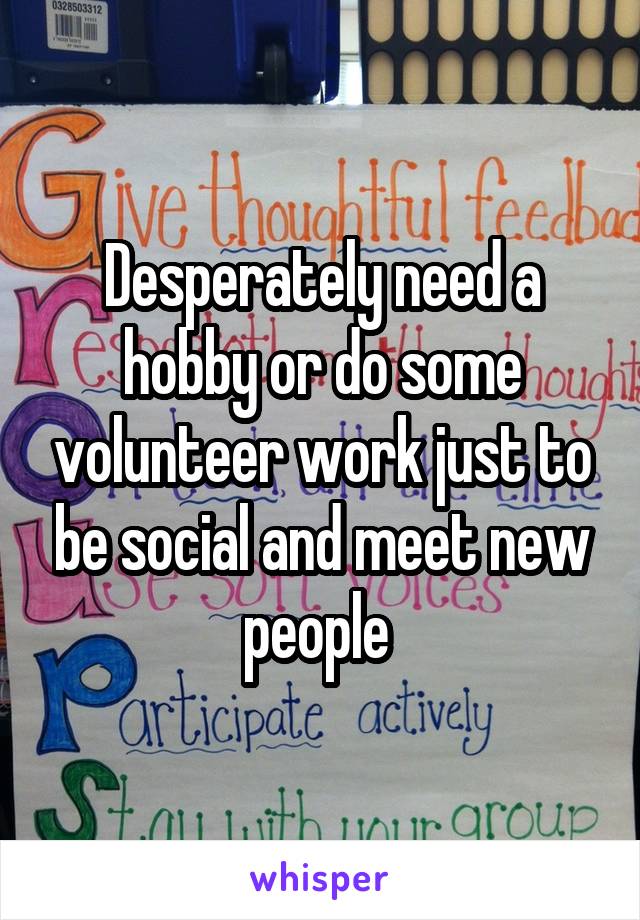 Desperately need a hobby or do some volunteer work just to be social and meet new people 