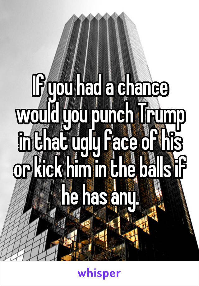 If you had a chance would you punch Trump in that ugly face of his or kick him in the balls if he has any.