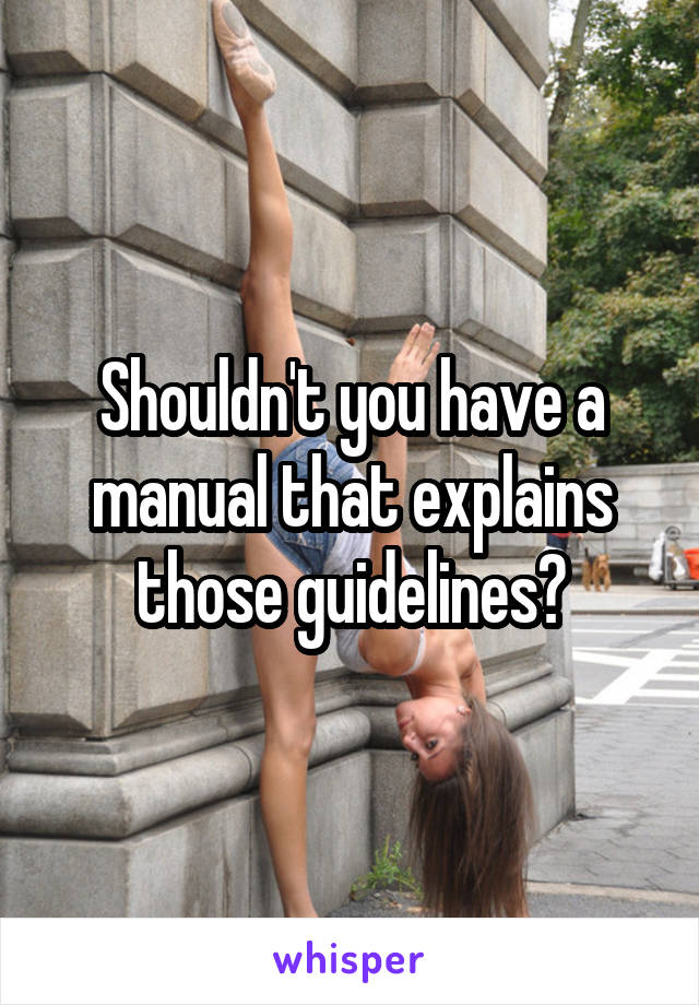 Shouldn't you have a manual that explains those guidelines?