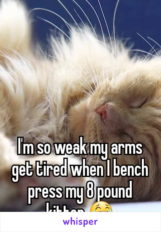 I'm so weak my arms get tired when I bench press my 8 pound kitten 😂