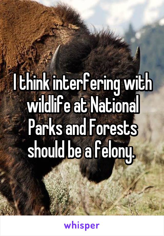 I think interfering with wildlife at National Parks and Forests should be a felony. 