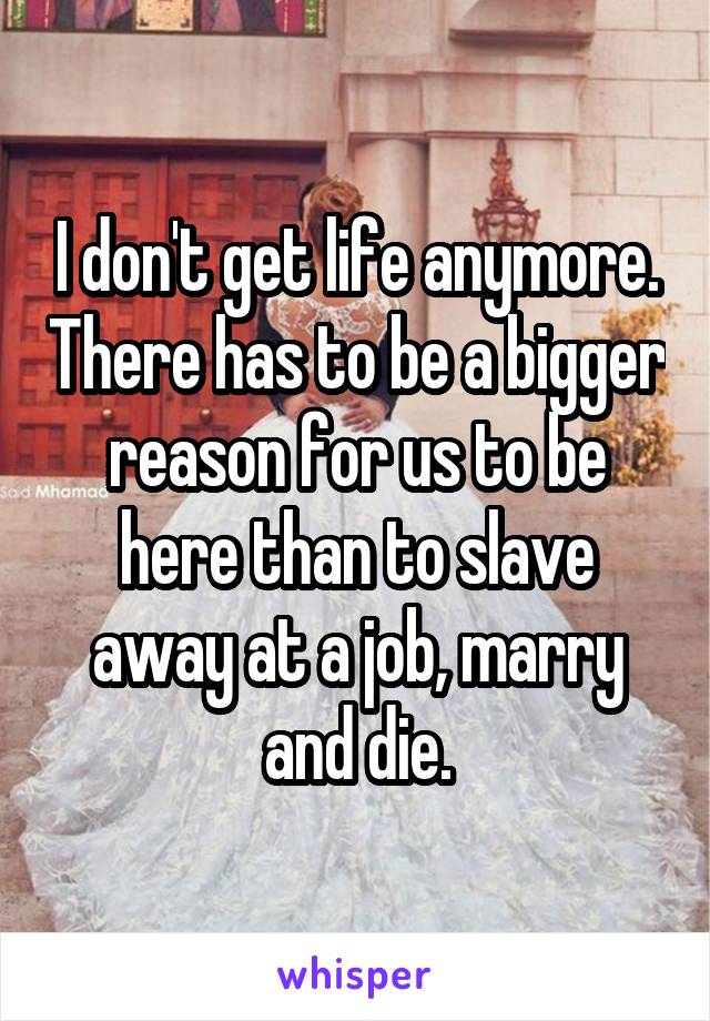 I don't get life anymore. There has to be a bigger reason for us to be here than to slave away at a job, marry and die.