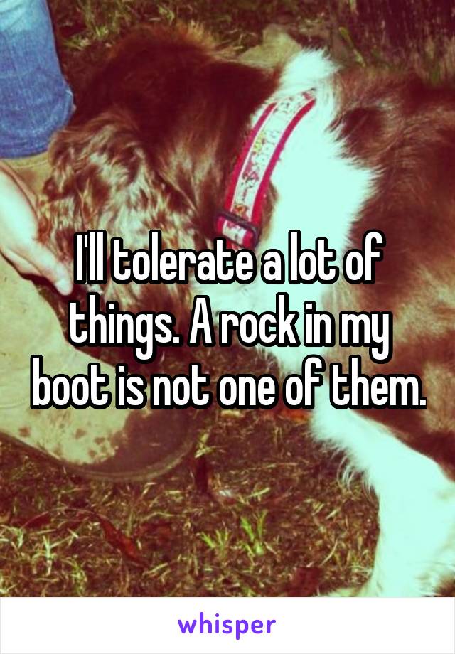 I'll tolerate a lot of things. A rock in my boot is not one of them.