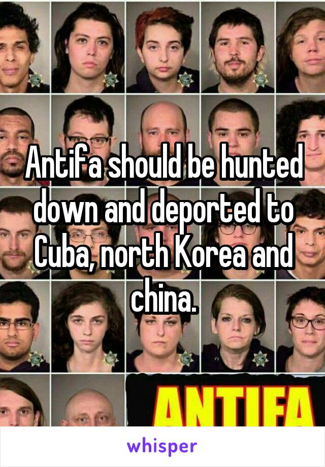 Antifa should be hunted down and deported to Cuba, north Korea and china.