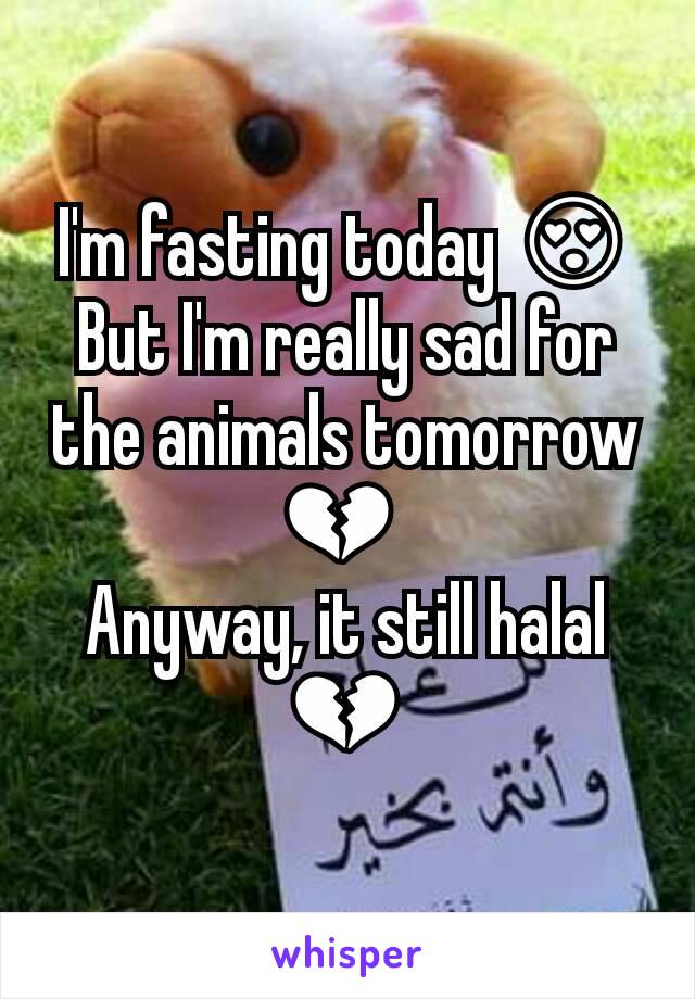 I'm fasting today 😍
But I'm really sad for the animals tomorrow 💔 
Anyway, it still halal 💔