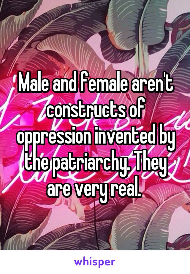 Male and female aren't constructs of oppression invented by the patriarchy. They are very real. 