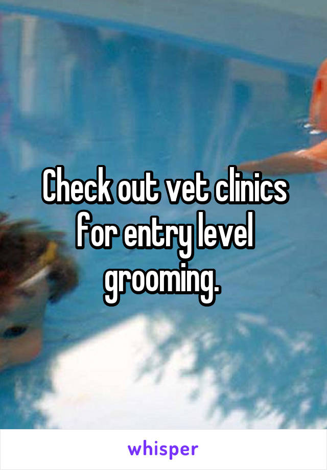 Check out vet clinics for entry level grooming. 