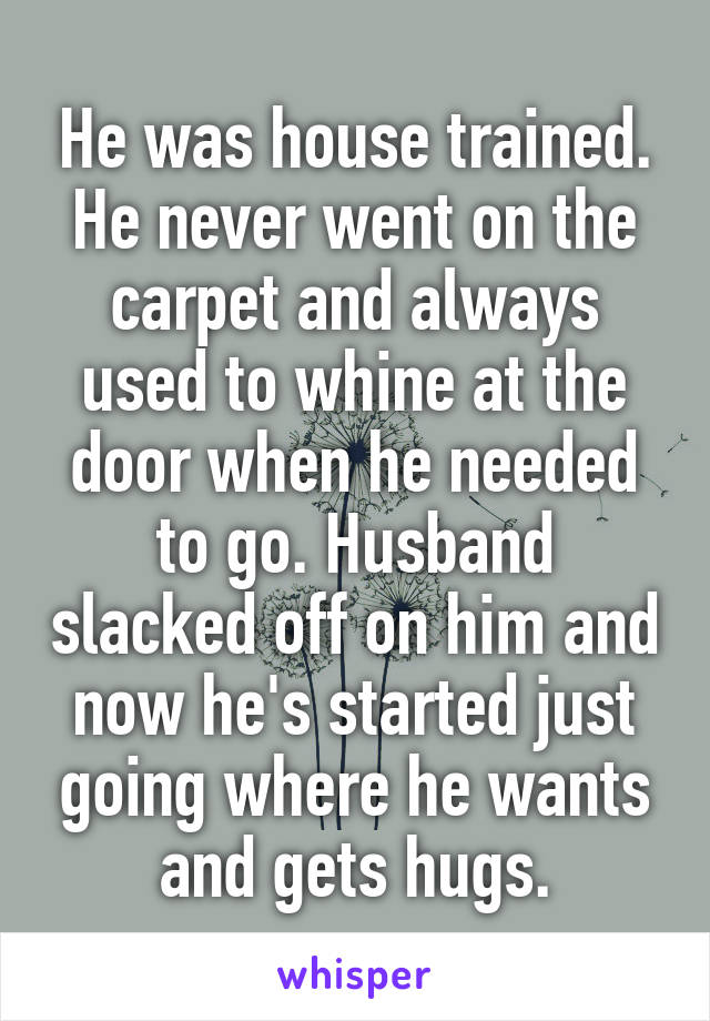 He was house trained. He never went on the carpet and always used to whine at the door when he needed to go. Husband slacked off on him and now he's started just going where he wants and gets hugs.