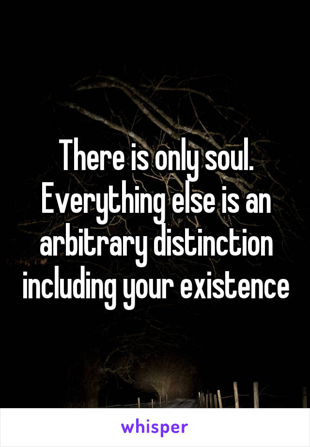 There is only soul. Everything else is an arbitrary distinction including your existence