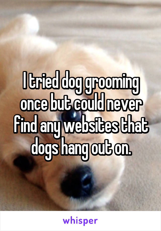 I tried dog grooming once but could never find any websites that dogs hang out on.