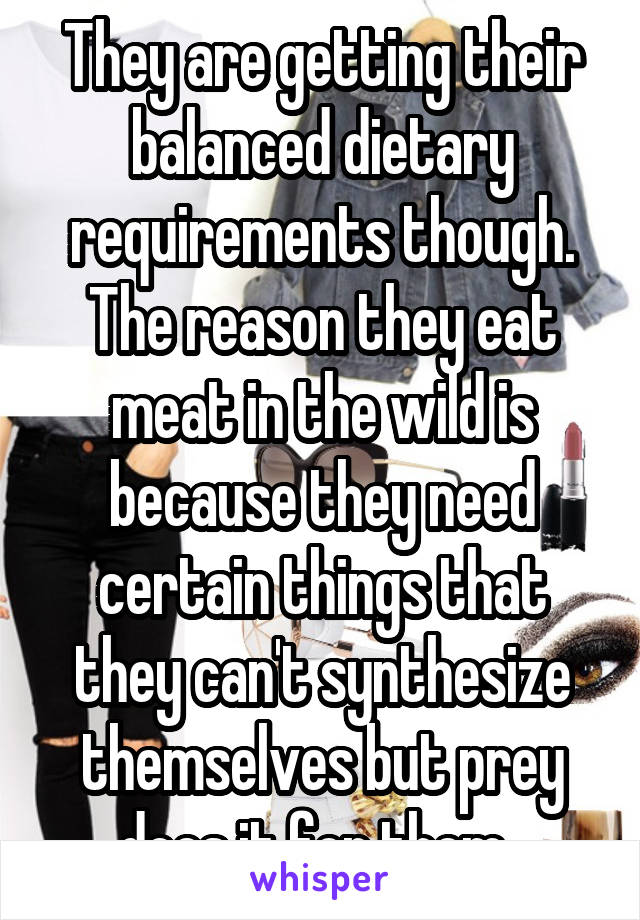 They are getting their balanced dietary requirements though. The reason they eat meat in the wild is because they need certain things that they can't synthesize themselves but prey does it for them. 