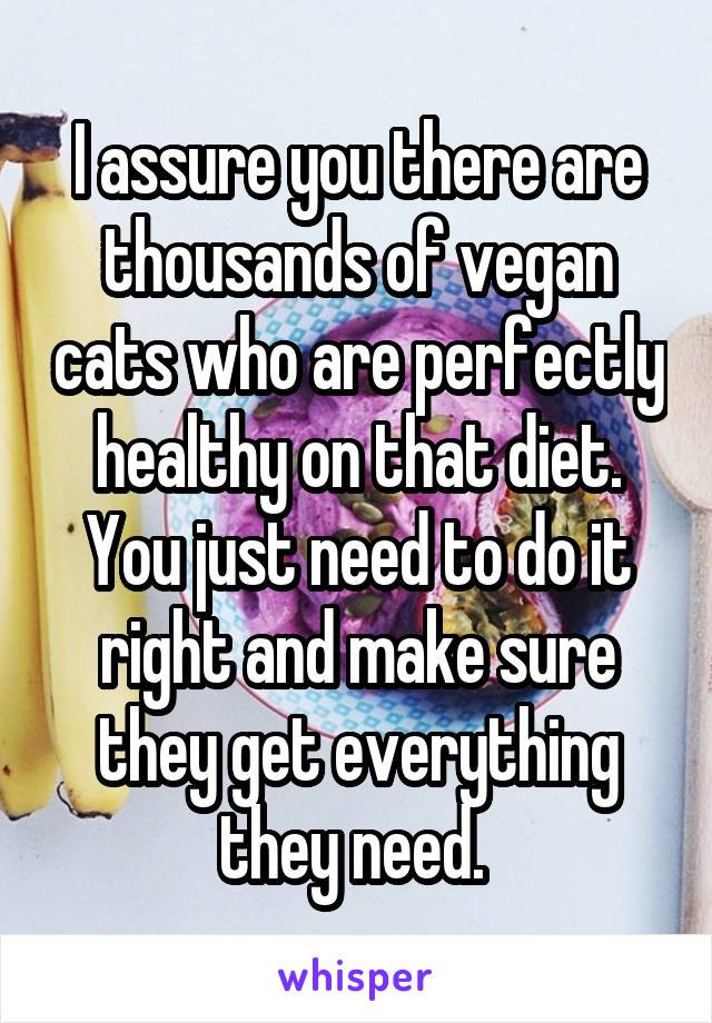 I assure you there are thousands of vegan cats who are perfectly healthy on that diet. You just need to do it right and make sure they get everything they need. 