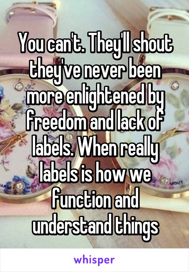 You can't. They'll shout they've never been more enlightened by freedom and lack of labels. When really labels is how we function and understand things