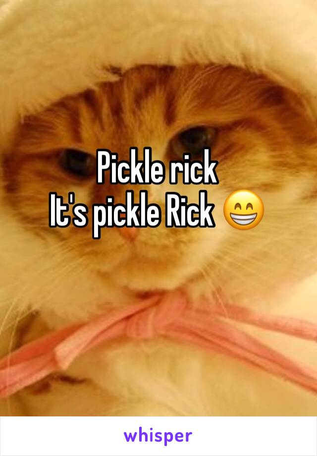 Pickle rick 
It's pickle Rick 😁