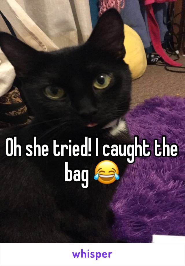 Oh she tried! I caught the bag 😂
