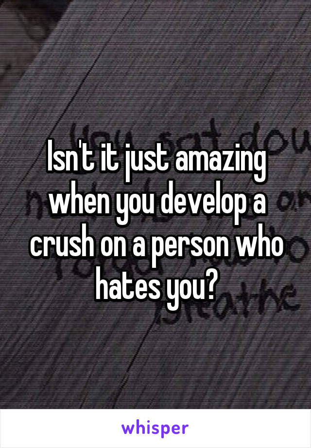 Isn't it just amazing when you develop a crush on a person who hates you?