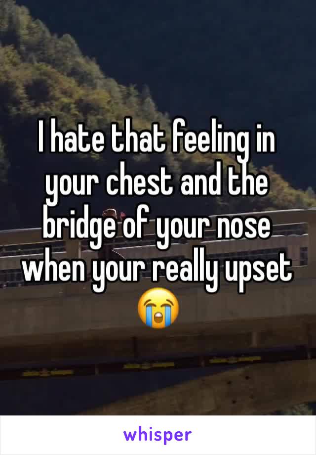 I hate that feeling in your chest and the bridge of your nose when your really upset 😭 