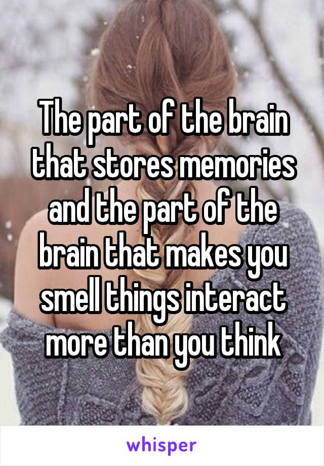 The part of the brain that stores memories and the part of the brain that makes you smell things interact more than you think