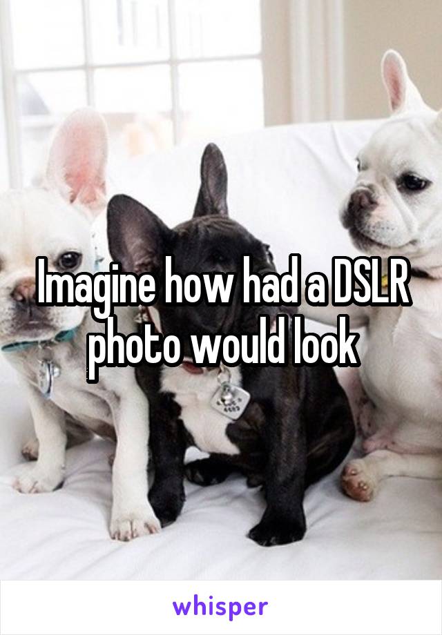 Imagine how had a DSLR photo would look