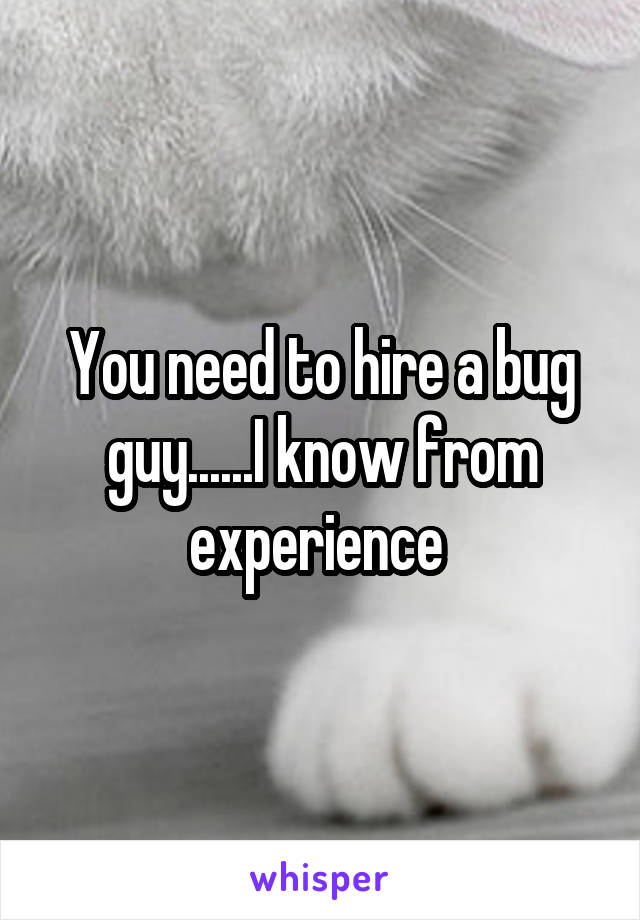 You need to hire a bug guy......I know from experience 